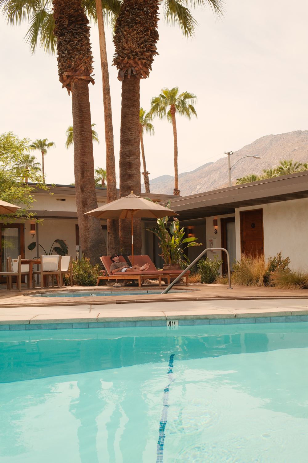 Pool, palms and mountains at Terra Palm Springs